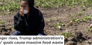 A person sits in a field of crops after a raid by U.S. immigration agents. Blake Fagan/AFP via Getty Images